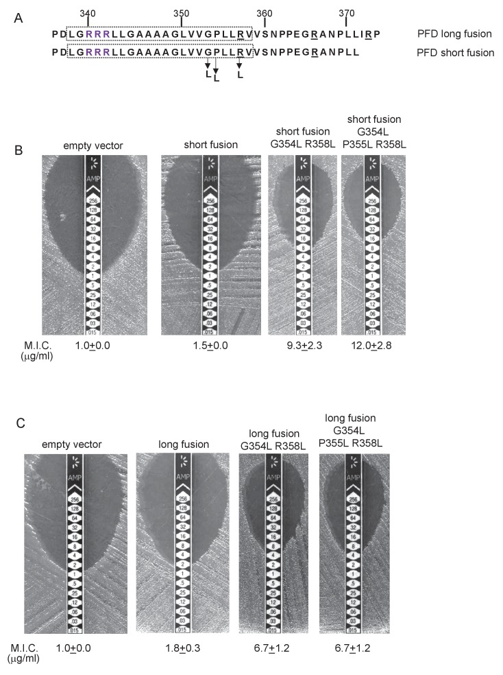 Figure 10.