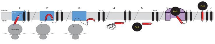 Figure 11.