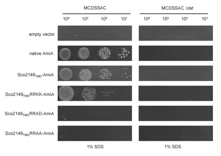 Figure 1—figure supplement 3.