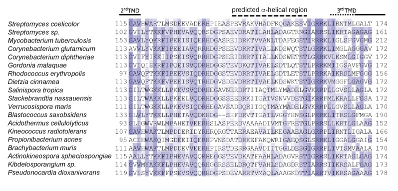 Figure 1—figure supplement 4.