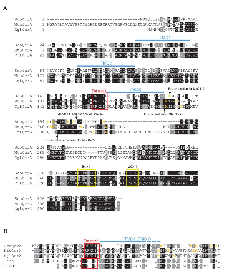 Figure 1—figure supplement 2.