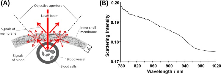 Fig 5