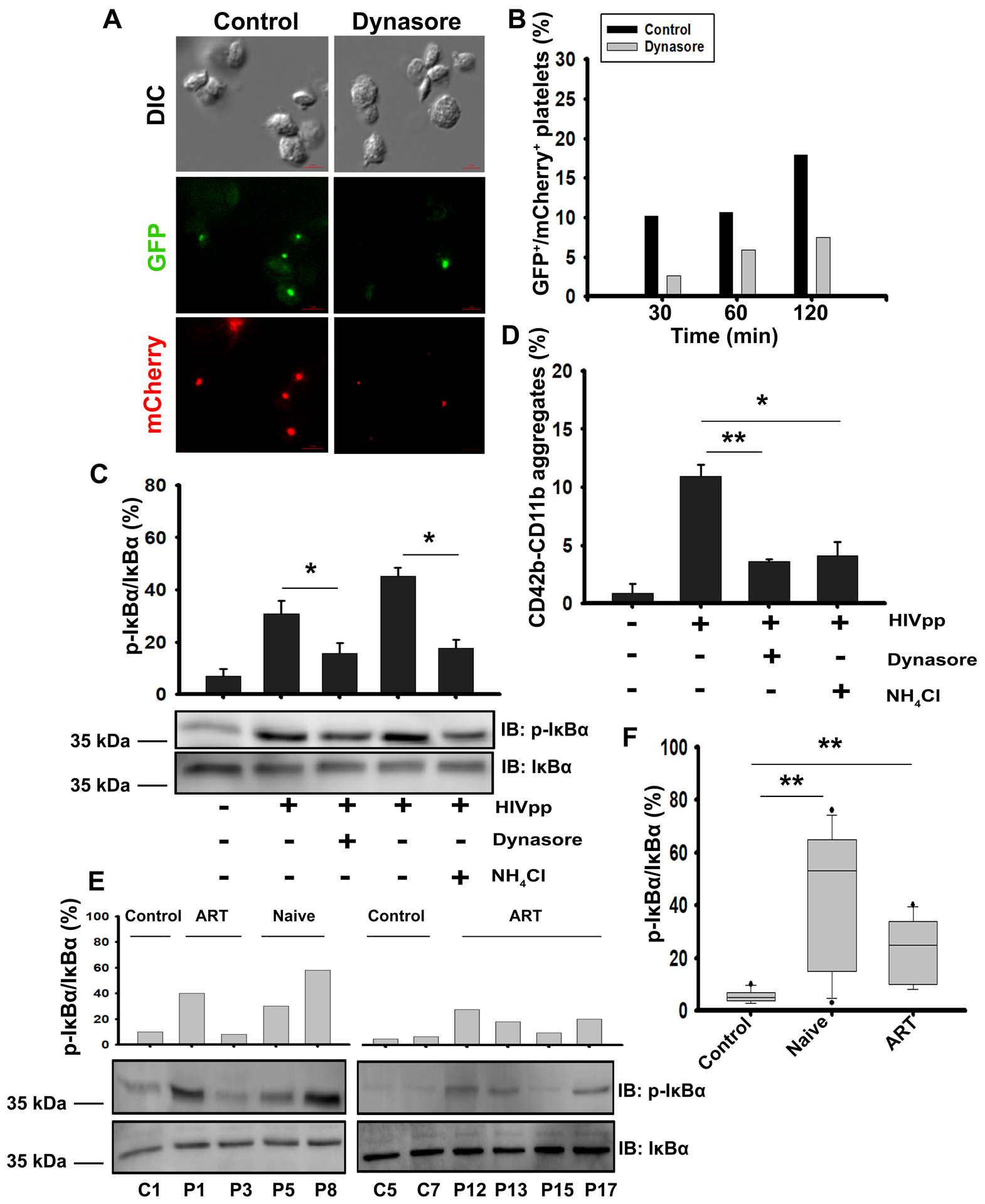 Figure 5: