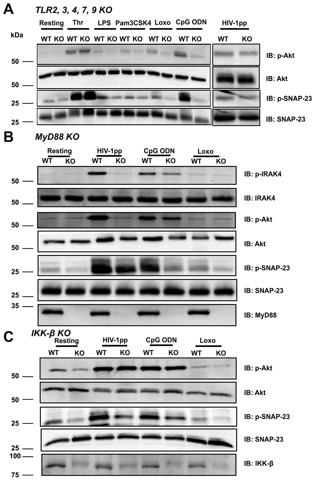 Figure 4: