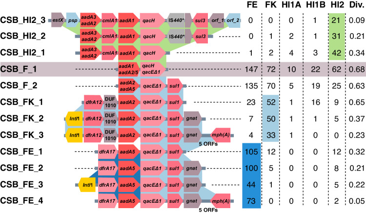 Fig. 6