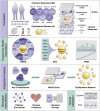 Figure 1 is an illustrative flowchart with four steps, namely, Population, Exposome-health association, Integrated analysis, and Biological interpretation. Step 1: Population: During five visits, 76 Chinese elderly persons had questionnaire, blood, and urine tests. There are 80 chemical exposure samples, which include 8 phthalates, 9 per- and polyfluoroalkyl compounds, 14 organophosphate esters, 6 polycyclic aromatic hydrocarbons, 2 monoaromatic hydrocarbons, bisphenol A, and 40 metals. There are six Dyslipidemia marker samples. Omics includes 19,936 samples of Transcriptome, 1,906 samples of Metabolome, and 630 samples of Lipidome. Clinical measurements include 21 Cytokine samples and 7 ECG samples. Step 2: Exposome-Health Association: The exposome-wide association research covers Monoaromatic hydrocarbons, Bisphenol A, Metals, Phthalates, Per- and polyfluoroalkyl compounds, Organophosphate esters, and Polycyclic aromatic hydrocarbons. The Deletion/substitution/addition method covers Phthalates, Per- and polyfluoroalkyl compounds, Organophosphate esters, Polycyclic aromatic hydrocarbons, Monoaromatic hydrocarbons, Bisphenol A, and Metals. The Deletion/substitution/addition method produced Dyslipidemia indicators. Weighted quantile sum regression is represented graphically. Step 3: Integrated Analysis: Organophosphate esters, Per- and polyfluoroalkyl compounds, and Polycyclic aromatic hydrocarbons are among the most significant pollutants. The major pollutants prompted Multi-omics. Multi-omics produced Dyslipidemia markers. Step 4: Biological interpretation involves Pathway enrichment, Disease prediction, and Literature overlap. Cytokines and electrocardiograms are now being clinically validated.