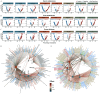 Figure 4A is a set of eight volcano plots titled 1-Naphthalene, 1-Pyrene, 2-Fluorene, Tri-phenyl phosphate, Dibutyl phosphate, Mono-(2-ethyl-5-hydroxyhexyl) phthalate, Chromium, and Vanadium under Serum metabolome, plotting negative log 10 (false discovery rate), ranging from 0 to 8 in increments of 2; 0 to 10 in increments of 5; 0 to 10 in increments of 5; 0 to 25 in increments of 5; 0 to 9 in increments of 3; 0 to 8 in increments of 2; 0 to 10 in increments of 5; and 0 to 5 in unit increments (y-axis) across Percentage change (percentage), ranging from negative 25 to 25 in increments of 25 (x-axis) for Positive, Negative, and Not significant, respectively. Figure 4B is a set of eight volcano plots titled 1-Naphthalene, 1-Pyrene, 2-Fluorene, Tri-phenyl phosphate, Dibutyl phosphate, Mono-(2-ethyl-5-hydroxyhexyl) phthalate, Chromium, and Vanadium under Urine metabolome, plotting negative log 10 (false discovery rate), ranging from 0 to 9 in increments of 3; 0 to 4 in unit increments, 0 to 6 in increments of 2, 0 to 8 in increments of 2, 0 to 15 in increments of 5, 0 to 9 in increments of 3, 0 to 8 in increments of 2, and 0.0 to 7.5 in increments of 2.5 (y-axis) across Percentage change (percentage), ranging from negative 25 to 25 in increments of 25 (x-axis) for Positive, Negative, and Not significant, respectively. Figure 4C is a set of eight volcano plots titled 1-Naphthalene, 1-Pyrene, 2-Fluorene, Tri-phenyl phosphate, Dibutyl phosphate, Mono-(2-ethyl-5-hydroxyhexyl) phthalate, Chromium, and Vanadium under Serum lipidome, plotting negative log 10 (false discovery rate), ranging from 0 to 8 in increments of 2, 0 to 9 in increments of 3, 0 to 10 in increments of 5, 0 to 25 in increments of 5, 0 to 20 in increments of 5, 0 to 4 in unit increments, 0 to 15 in increments of 5, and 0 to 8 in increments of 2 (y-axis) across Percentage change (percentage), ranging from negative 25 to 25 in increments of 25 (x-axis) for Positive, Negative, and Not significant, respectively. Figures 4D and 4E depict network maps of the relationships between important environmental pollutants and the serum metabolome and lipidome, such as tri-phenyl phosphate, 2-fluorene, 1-naphthalene, 1-pyrene, mono-(2-ethyl-5-hydroxyhexyl) phthalate, dibutyl phosphate, vanadium, and chromium. A scale illustrates the effect, spanning from negative 0.3 to 0.3 in 0.3 increments, respectively. Figure 4F is ten horizontal stacked bar graphs under Serum metabolome. On the left, the five graphs, plotting Organophosphate esters, including Dibutyl phosphate and Tri-phenyl phosphate; Phthalates, including Mono-(2-ethyl-5-hydroxyhexyl) phthalate; Polycyclic aromatic hydrocarbons, including 2-Fluorene, 1-Pyrene, and 1-Naphthalene; Metals, including Vanadium and Chromium; and Overall (y-axis) across percentage of positive metabolites, ranging from 200 to 0 in decrements of 50 (x-axis) for Lipid, Xenobiotics, Amino acid, Carbohydrate, Cofactors and vitamins, Nucleotide, Energy, Peptide, and Partially characterized molecules. On the right, the five graphs, plotting Organophosphate esters, including Dibutyl phosphate and Tri-phenyl phosphate; phthalates, including Mono-(2-ethyl-5-hydroxyhexyl) phthalate; Polycyclic aromatic hydrocarbons, including 2-Fluorene, 1-Pyrene, and 1-Naphthalene; Metals, including Vanadium and Chromium; and Overall (y-axis) across Percentage of positive metabolites, ranging from 0 to 200 in increments of 50 (x-axis) for Lipid, Xenobiotics, Amino acid, Carbohydrate, Cofactors and vitamins, Nucleotide, Energy, Peptide, and Partially Characterized molecules. Figure 4G is ten horizontal stacked bar graphs under Serum lipidome. On the left, the five graphs, plotting Organophosphate esters, including Dibutyl phosphate and Tri-phenyl phosphate; Phthalates, including Mono-(2-ethyl-5-hydroxyhexyl) phthalate; Polycyclic aromatic hydrocarbons, including 2-Fluorene, 1-Pyrene, and 1-Naphthalene; Metals, including Vanadium and Chromium; and Overall (y-axis) across Percentage of positive metabolites, ranging from 250 to 0 in decrements of 50 (x-axis) for Glycerophospholipids, Sphingolipids, Glycerolipids, Fatty acyls, Sterol lipids, and Prenol lipids. On the right, the five graphs, plotting Organophosphate esters, including Dibutyl phosphate and Tri-phenyl phosphate; Phthalates, including Mono-(2-ethyl-5-hydroxyhexyl) phthalate; Polycyclic aromatic hydrocarbons, including 2-Fluorene, 1-Pyrene, and 1-Naphthalene; Metals, including Vanadium and Chromium; and Overall (y-axis) across Percentage of positive metabolites, ranging from 0 to 250 in increments of 50 (x-axis) for Glycerophospholipids, Sphingolipids, Glycerolipids, Fatty acyls, Sterol lipids, and Prenol lipids.