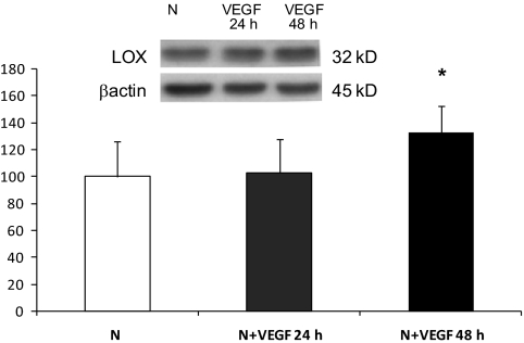 FIG. 8.