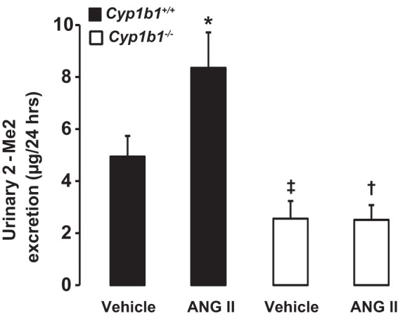 Fig. 9.