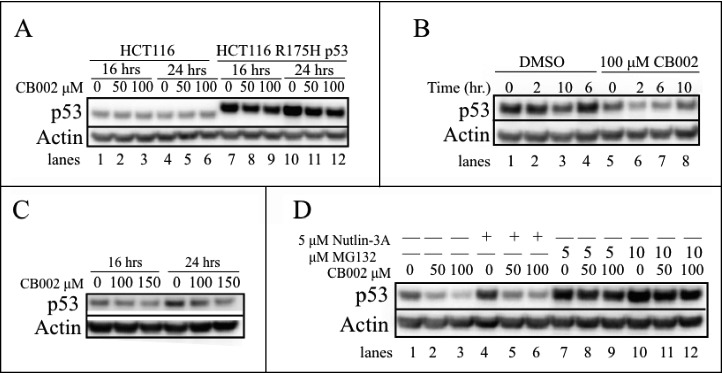 Figure 7.