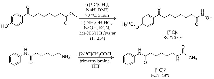 Scheme 5