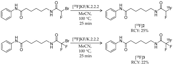 Scheme 2