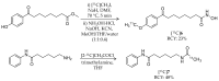 Scheme 5