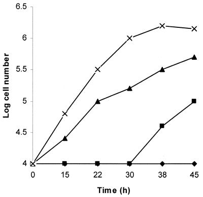 FIG. 1