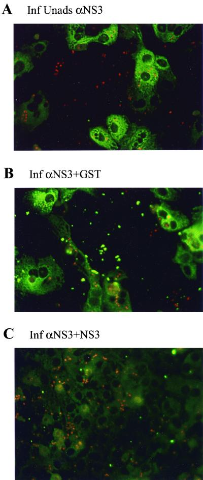 FIG. 6