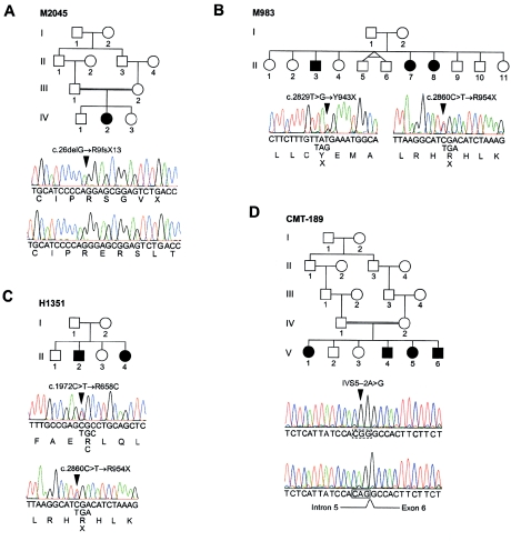 Figure  3