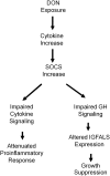 FIG. 10.
