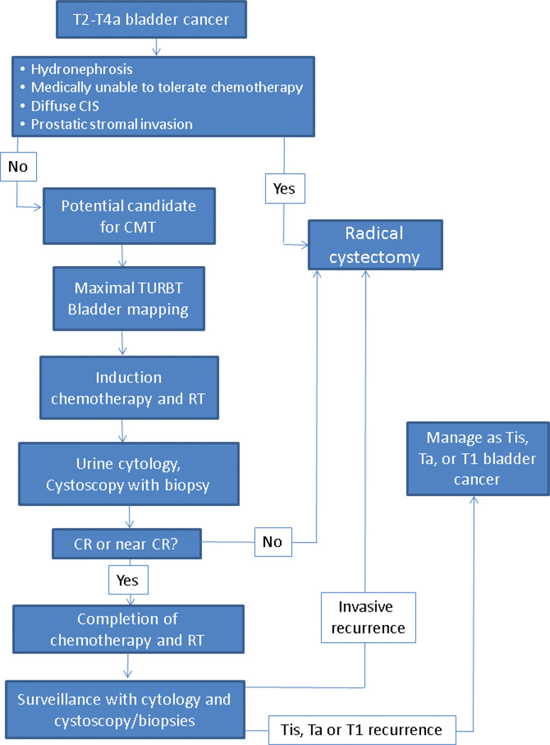 Trimodality therapy in bladder cancer: Who, what and when? - PMC