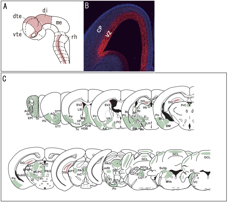 Fig 5