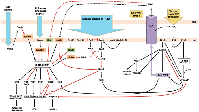 FIGURE 1