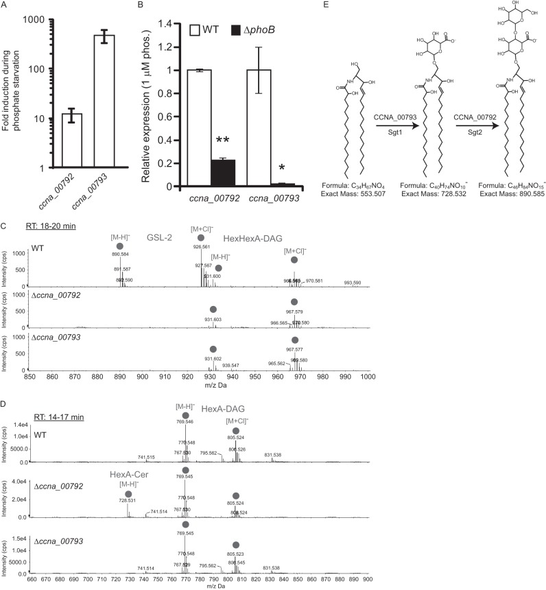 FIG 3