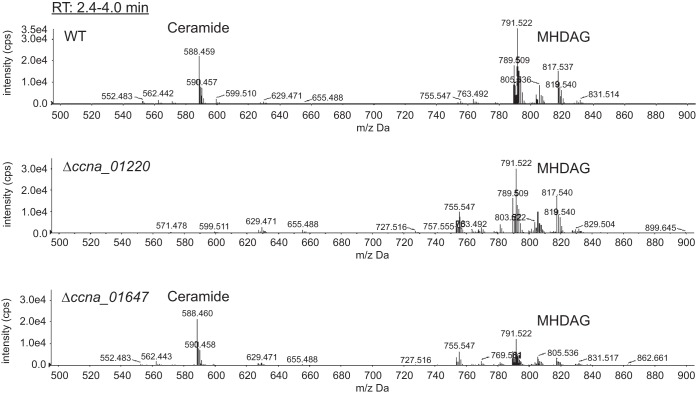 FIG 2