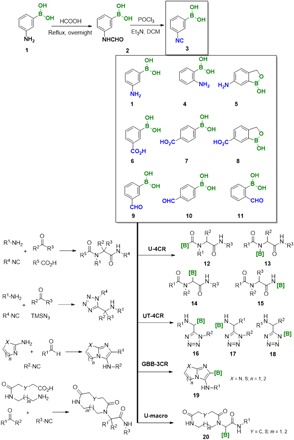 Fig. 2