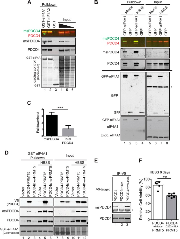 FIGURE 4.