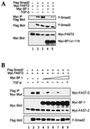 FIG. 7