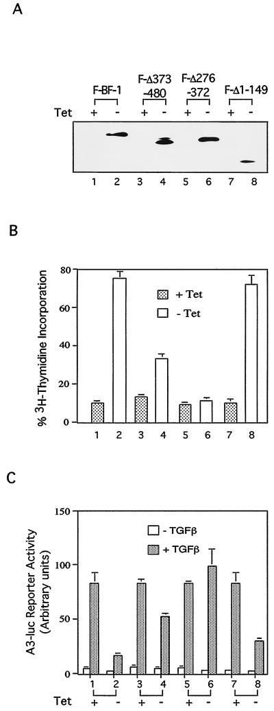 FIG. 5