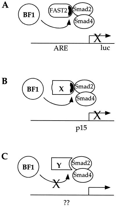 FIG. 8