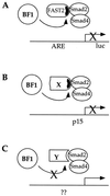 FIG. 8