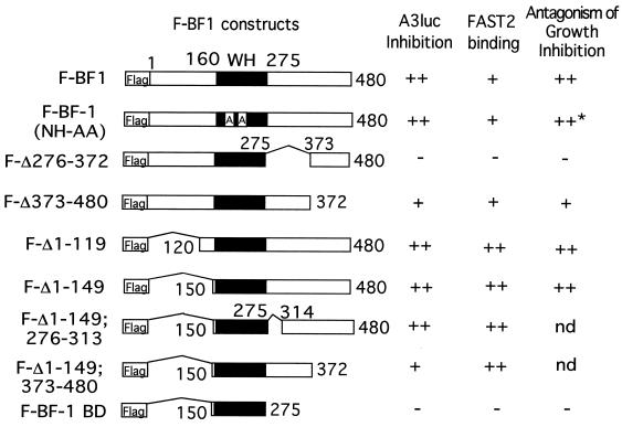 FIG. 6