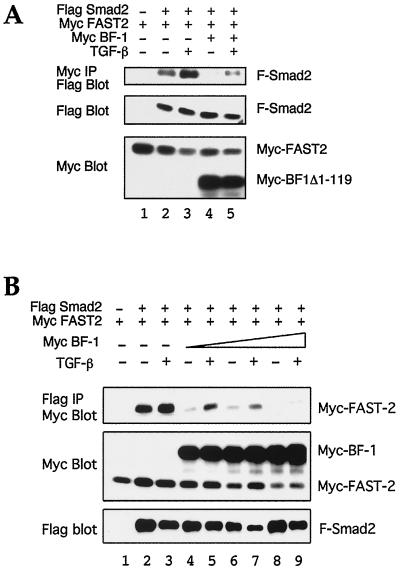 FIG. 7