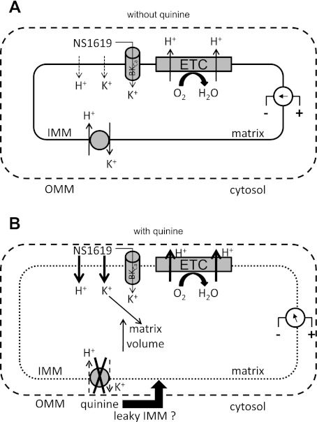 Fig. 8.