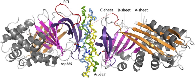 Fig. 1.