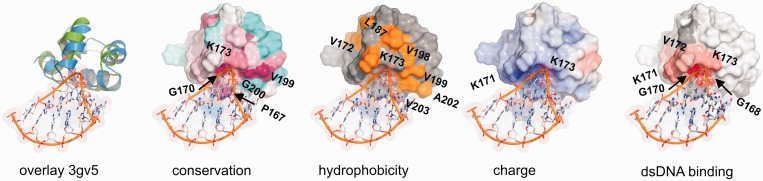 Figure 4.