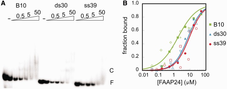 Figure 2.