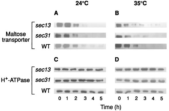 FIG. 6