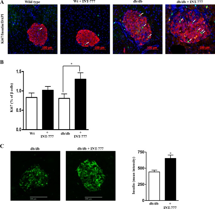 FIGURE 11.