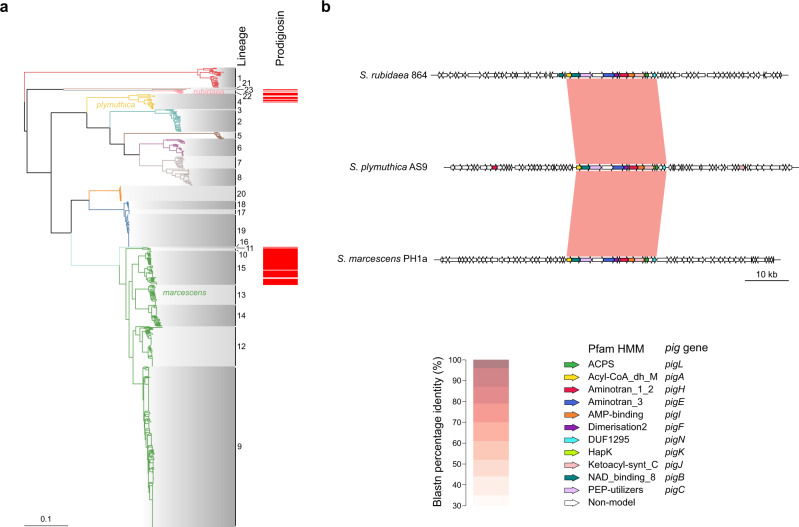 Fig. 7