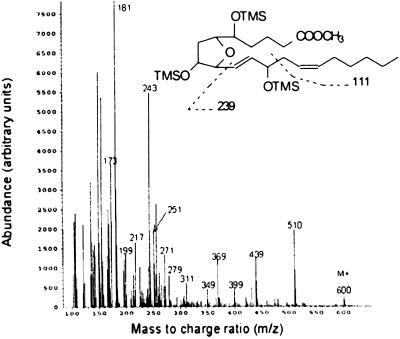 Fig 2.