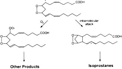 Fig 1.