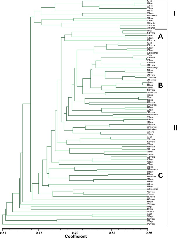 Fig 1