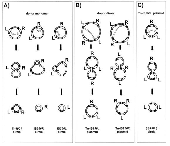 FIG. 5.