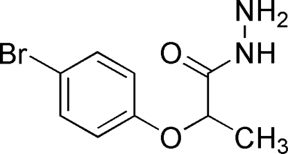 graphic file with name e-65-0o441-scheme1.jpg