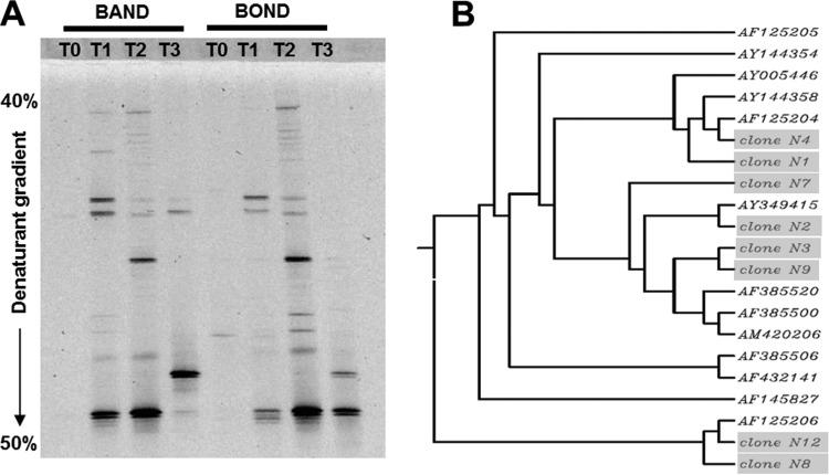 FIG 1