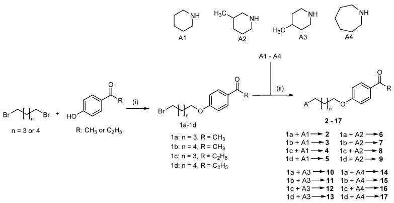 Scheme 1