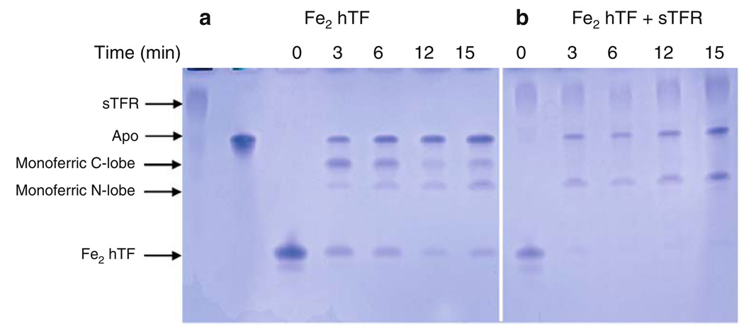 Fig. 5