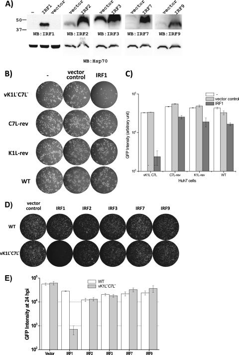 Fig 6